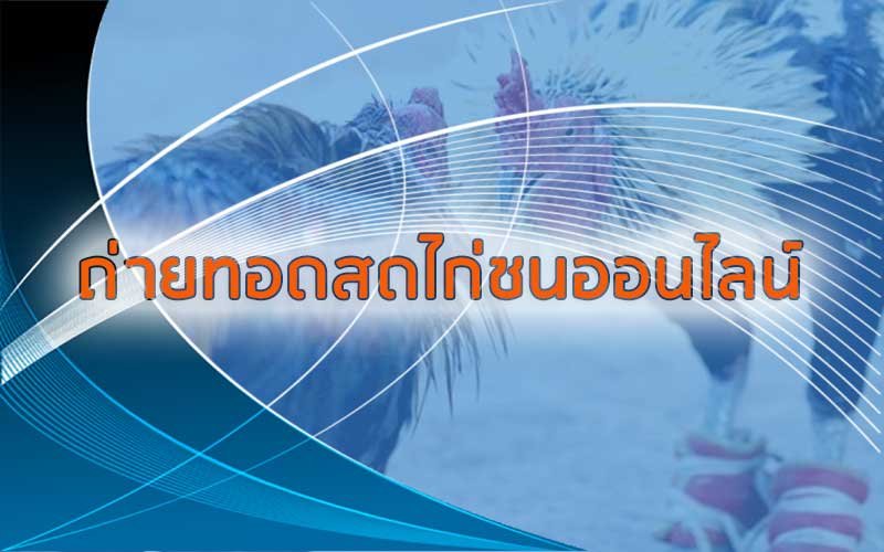 ทำความรู้จักกับบริการ ถ่ายทอดสดไก่ชนออนไลน์ คืออะไรมีข้อดีอย่างไร